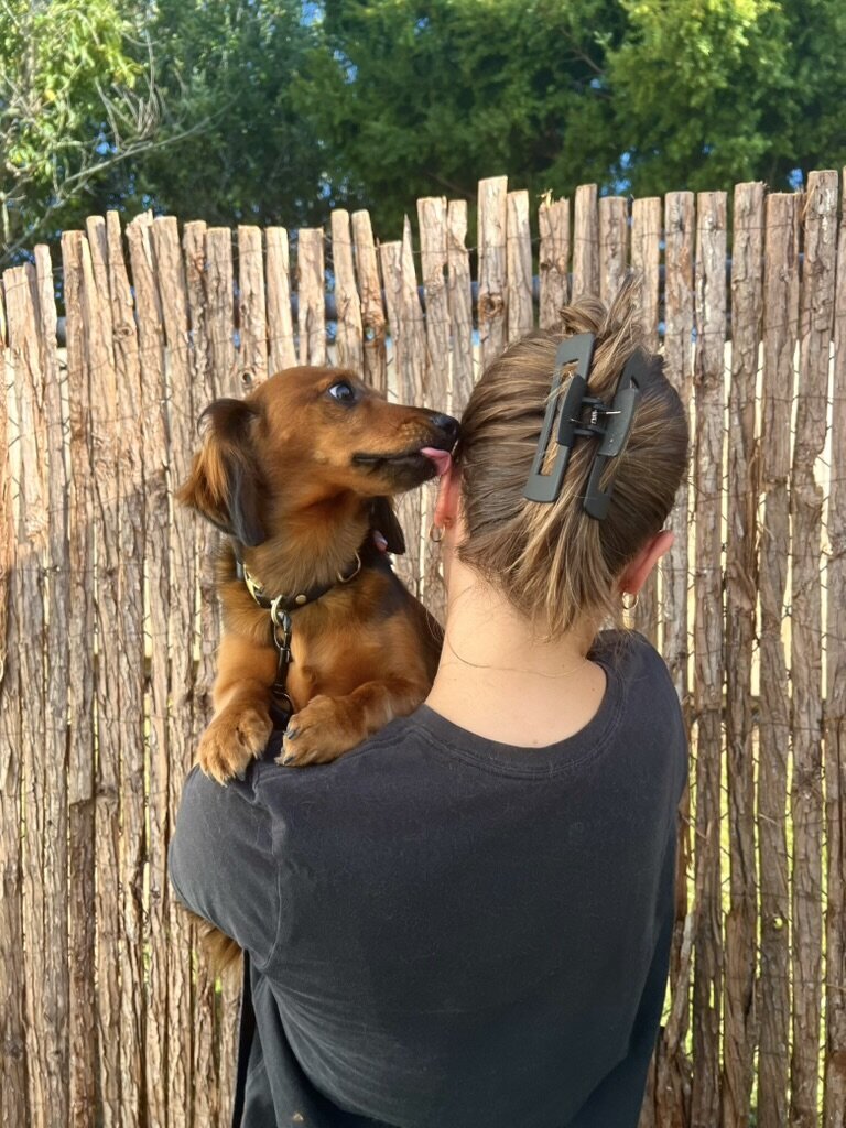 44BA5E37-4090-447B-BE53-883FFC0153CF_1_105_c