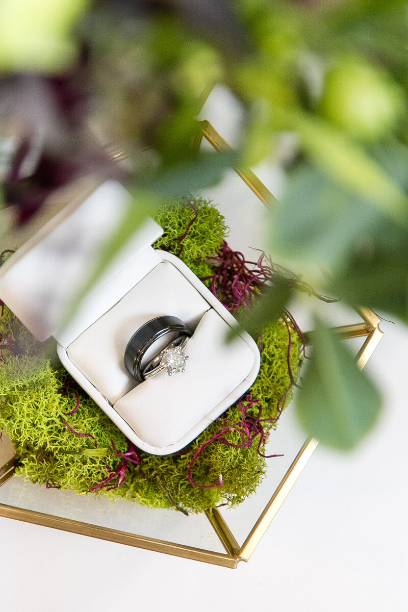 A ring box with a couple's rings in it, surrounded by greenery