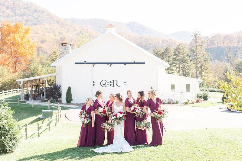 chestnut-ridge-wedding-canton-nc-cassie-travais-59