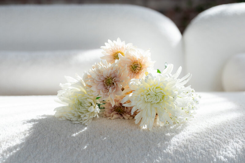 Light pink and white flowers in sunlight capturing the calm, creative energy of the photography community.