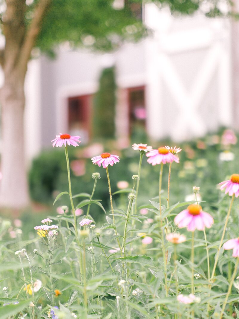 Pippin Hill Wedding Charlottesville Virginia Photographer_21