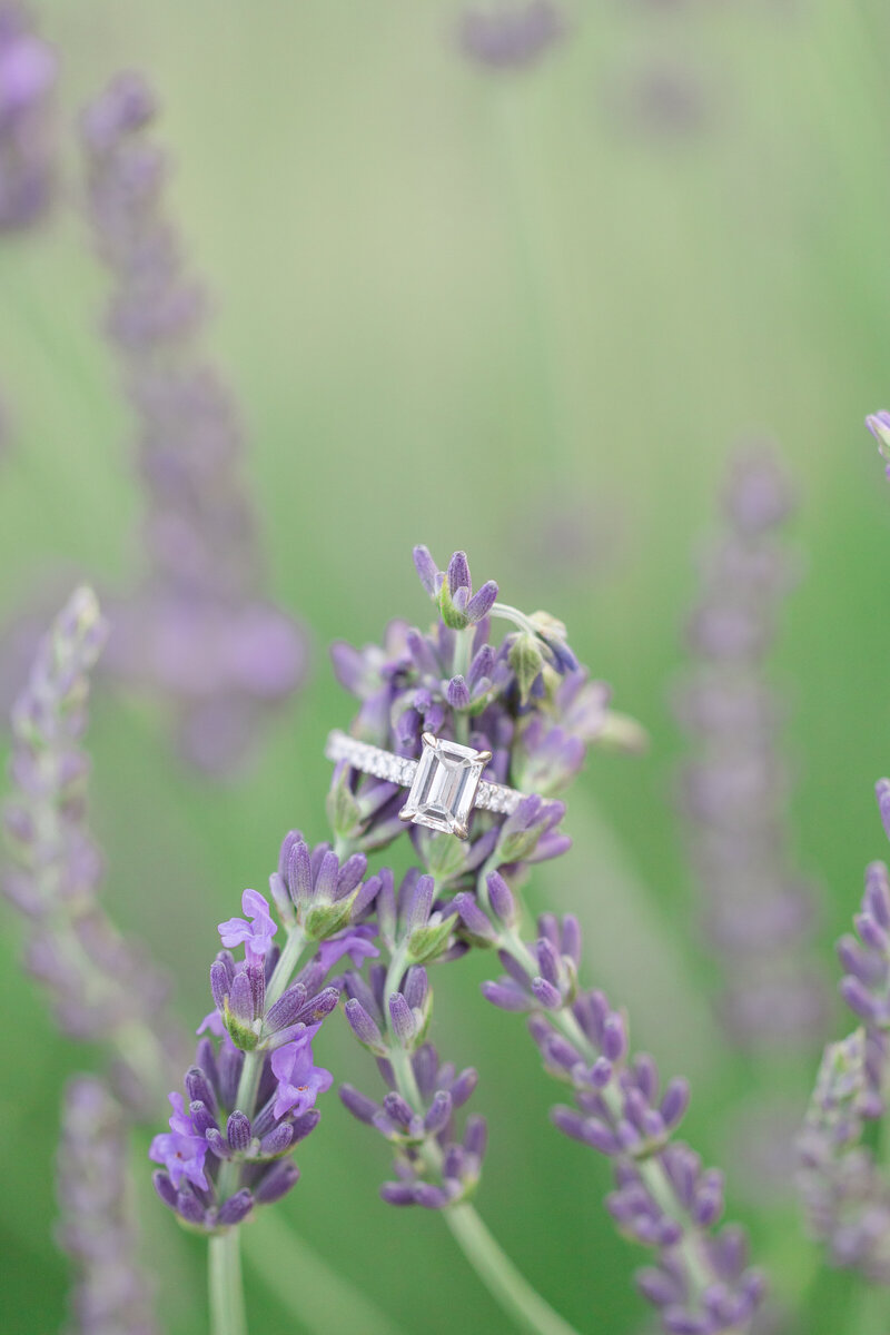 emerald diamond wedding ring on a lavender plant in mid-michigan during an engagement session. 