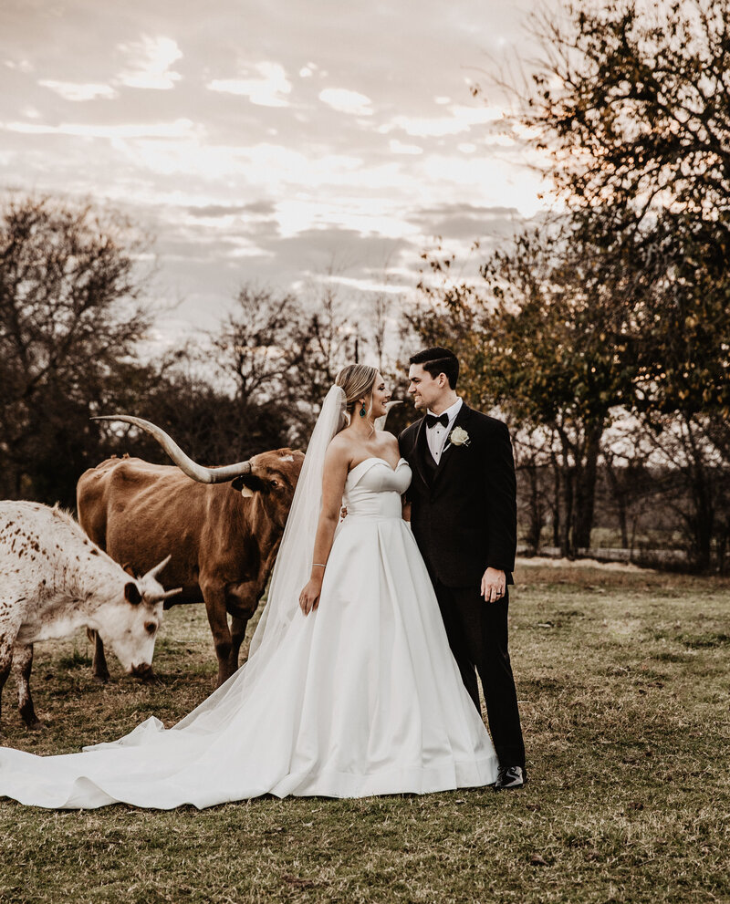 bride and groom posing by cattle