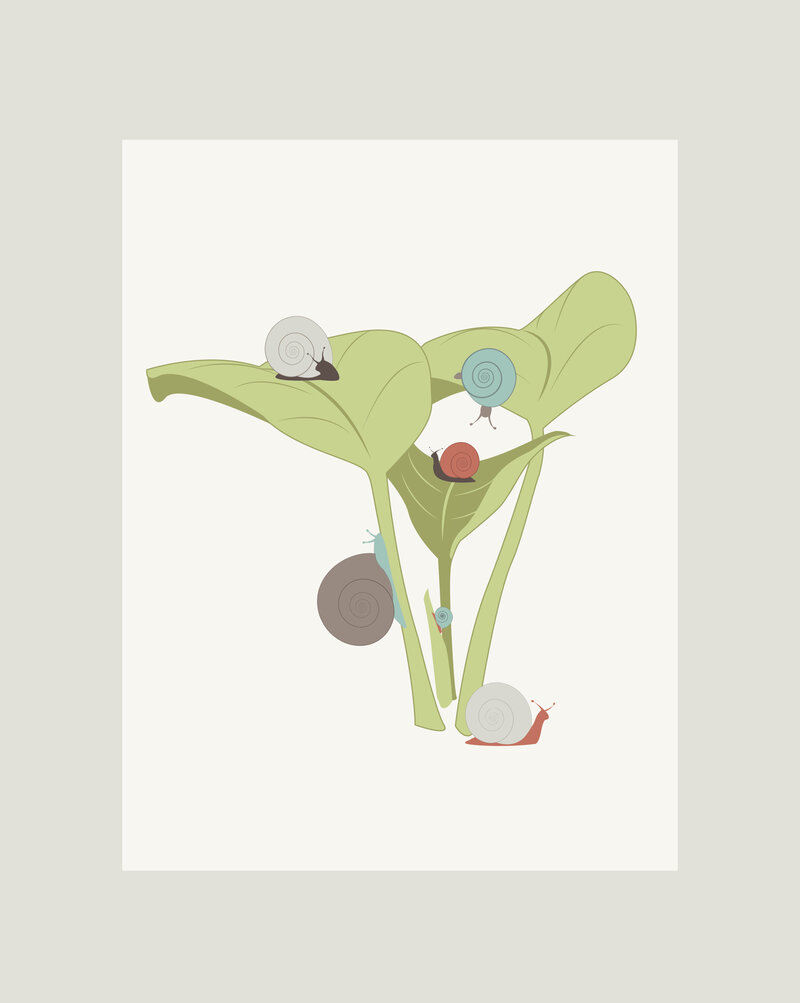 boys25snails