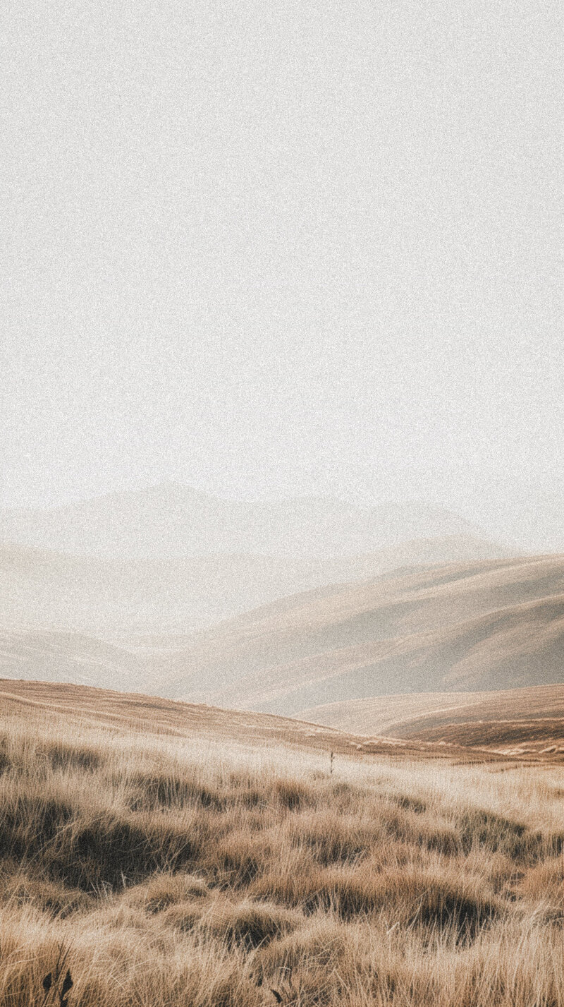 b5bc9ae4-2997-4faf-b7ce-3a7d29fc24d5