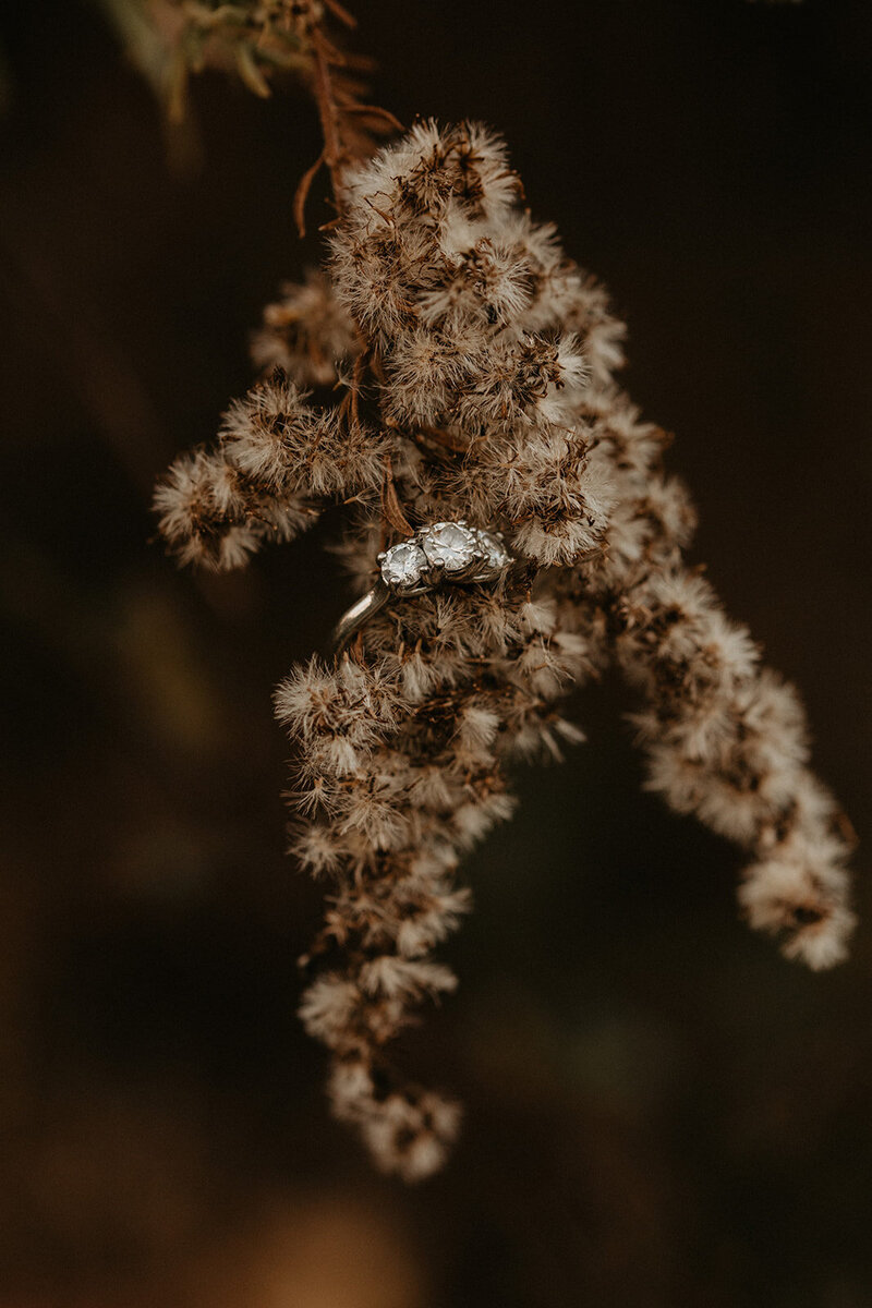 Christa_Billy_Engagement_Session_Sneak_Peek_11.10.20-25
