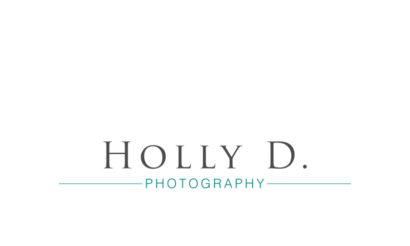 new-holly_d_photography_logo_final horizontal