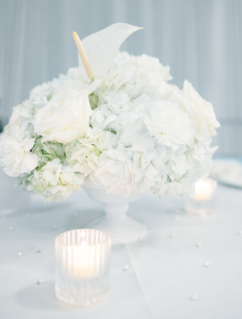 bride's wedding shoes