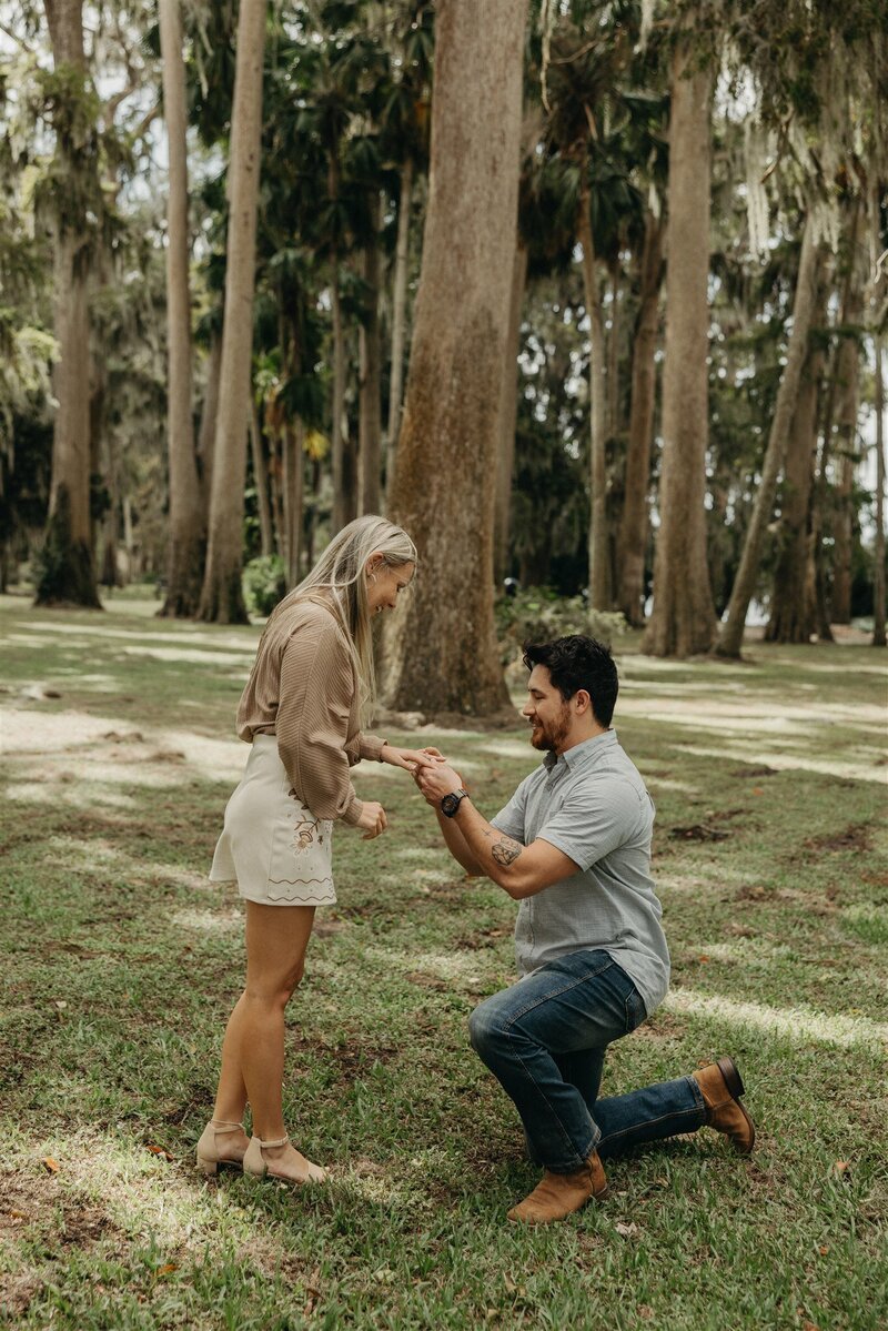 Man putting on the proposal to his girlfriend under towering moss-draped cypress trees during a romantic engagement at Kraft Azalea Garden in Winter Park, Florida.
