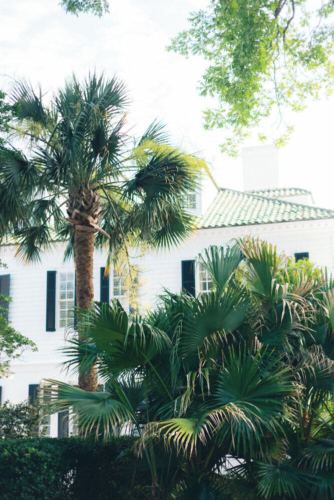 venue with palm trees