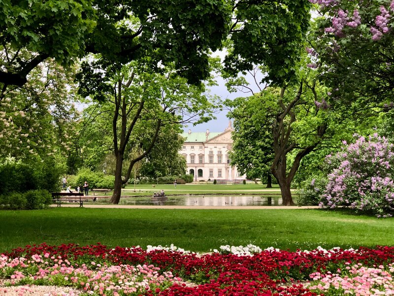 Park with pond and trees