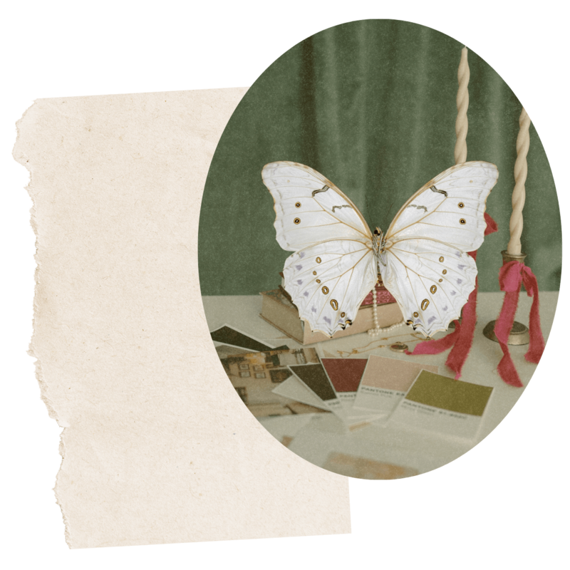 a white butterfly and a wax seal with a rose motif