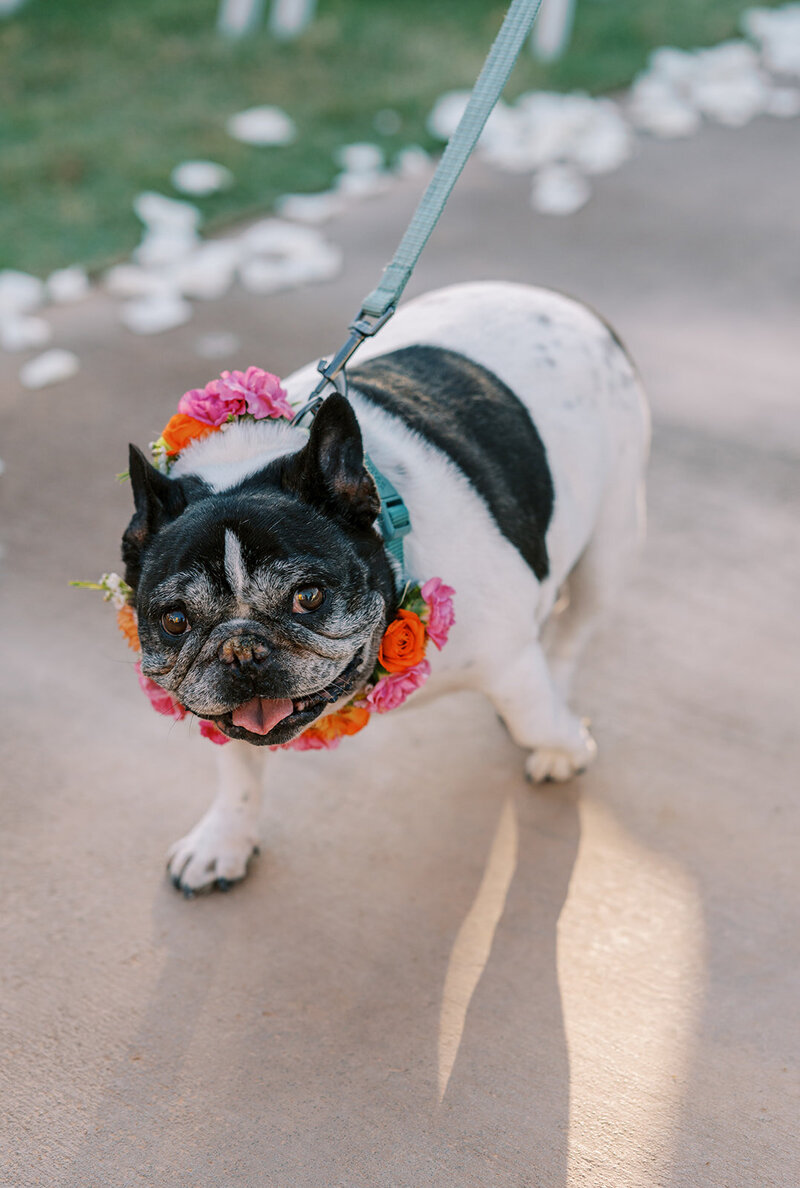Nathanael Tenney Photography - Elise & Brandon-18