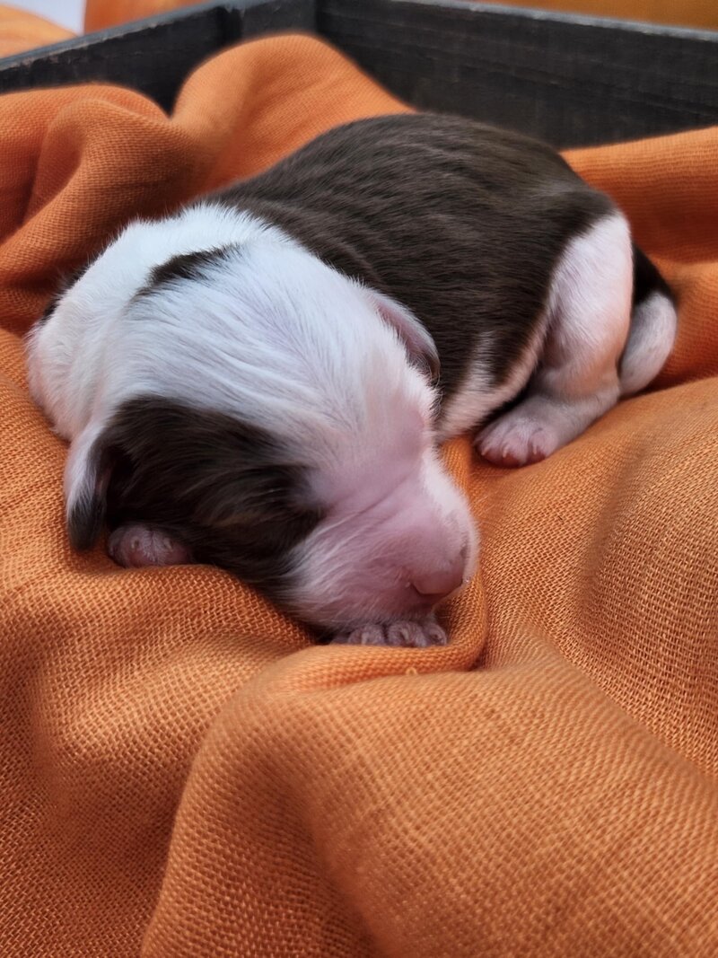 f46cd82a-86e6-4b5a-ae30-9bbf97fc070e (1)