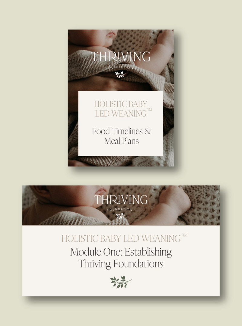 Thriving Foundations-06