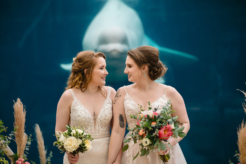 Two brides holding hands in front of Juno the beluga whale at their mystic aquarium wedding