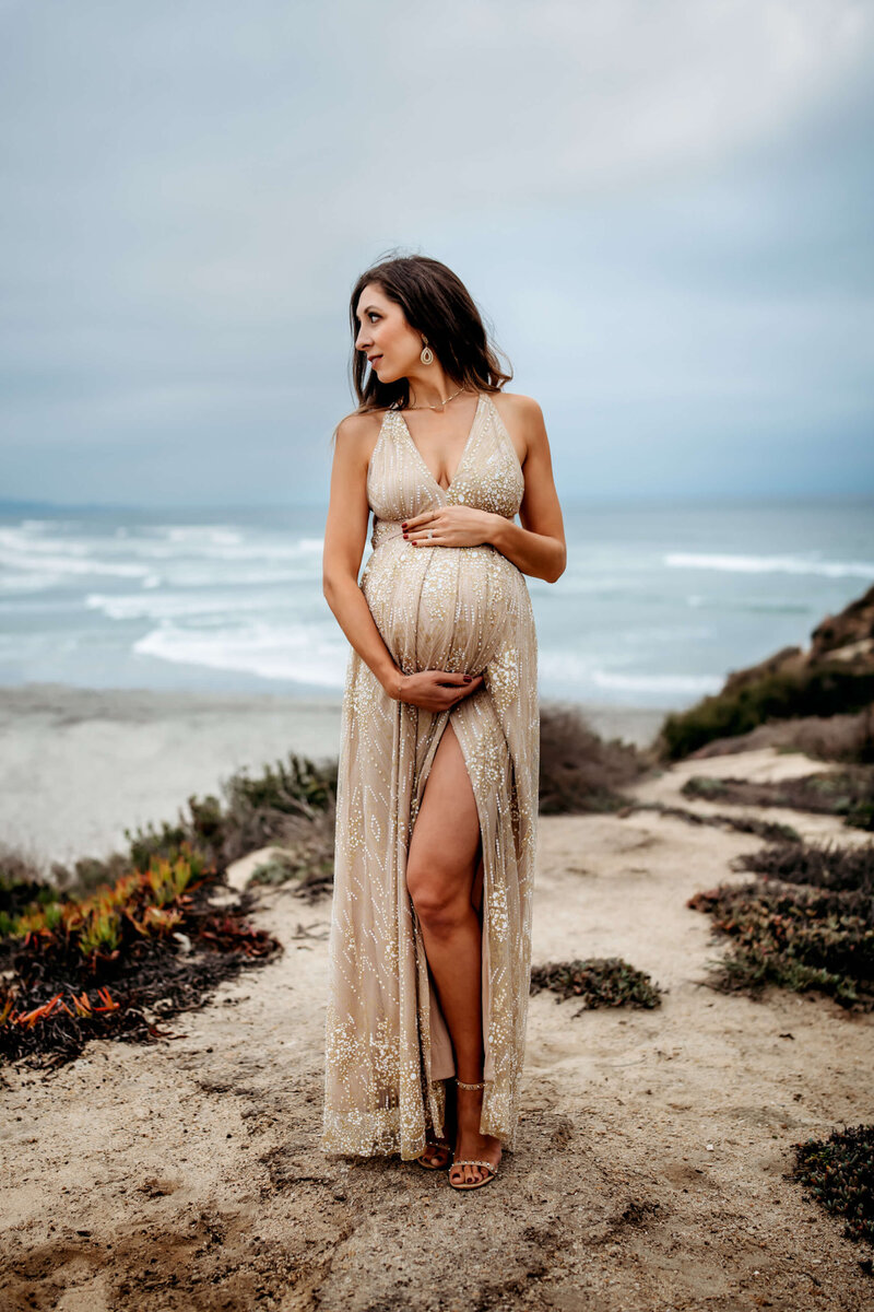 This is a mother who is pregnant standing in a beautiful gown for her maternity photography session.