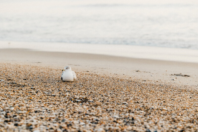 wrightsville beach-prints-stacy savage photography -92