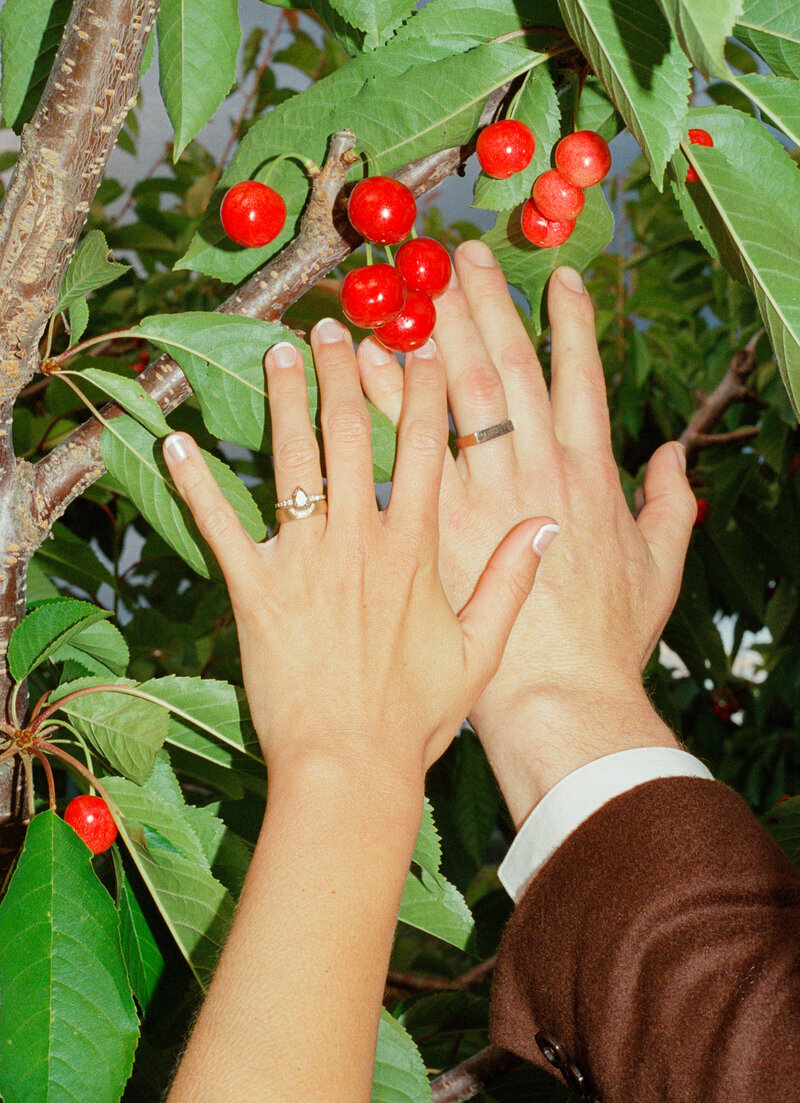 2025-ace-photography-killer-tomato-farm-wedding-sneak-peeks-02
