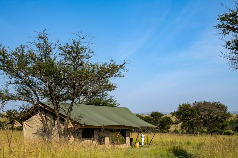 TAASA Migration Camp - Tent Exteriors (2)