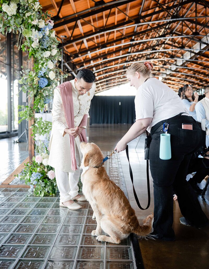 pawfect-for-you-work-for-us-pet-sitters-indoor-wedding