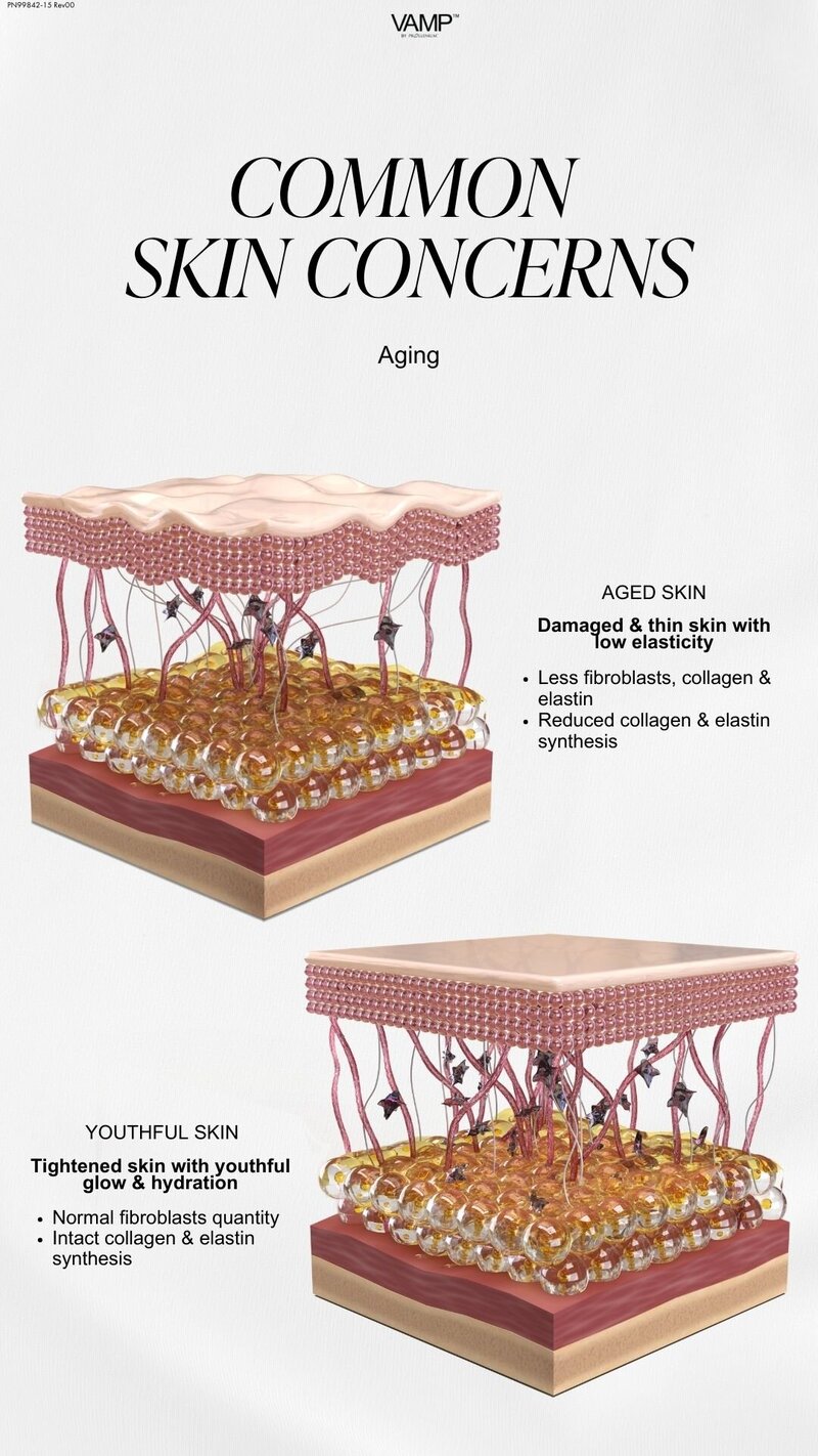 VAMP Skin Concerns Aging - Story Size [EN]