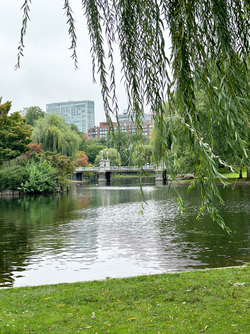 Boston public garden pond 
