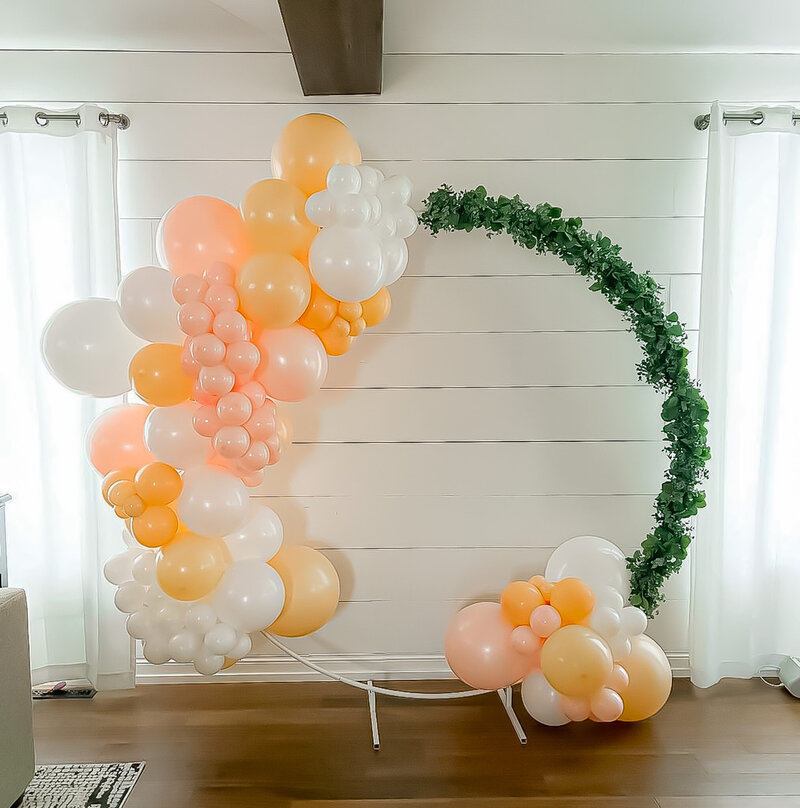 Balloon Arches Bismarck 6