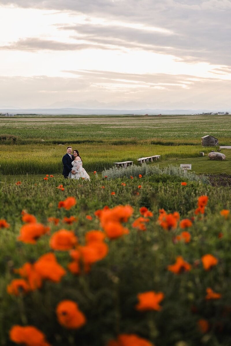 Couple in the background with poppies in the foreground