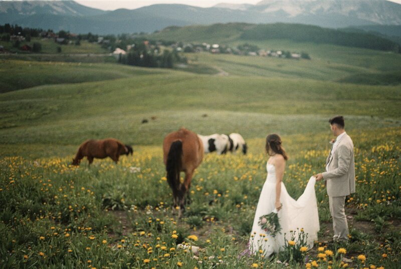karleigh-and-jake-crested-butte-wildflower-elopement-on-35mm-film-23