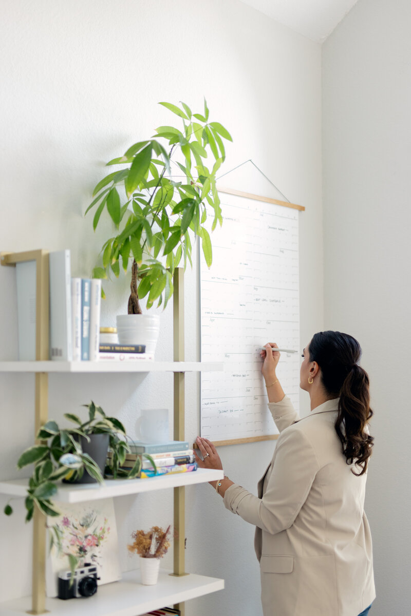 Coaching for Speakers and Creative Educators | Laylee Emadi