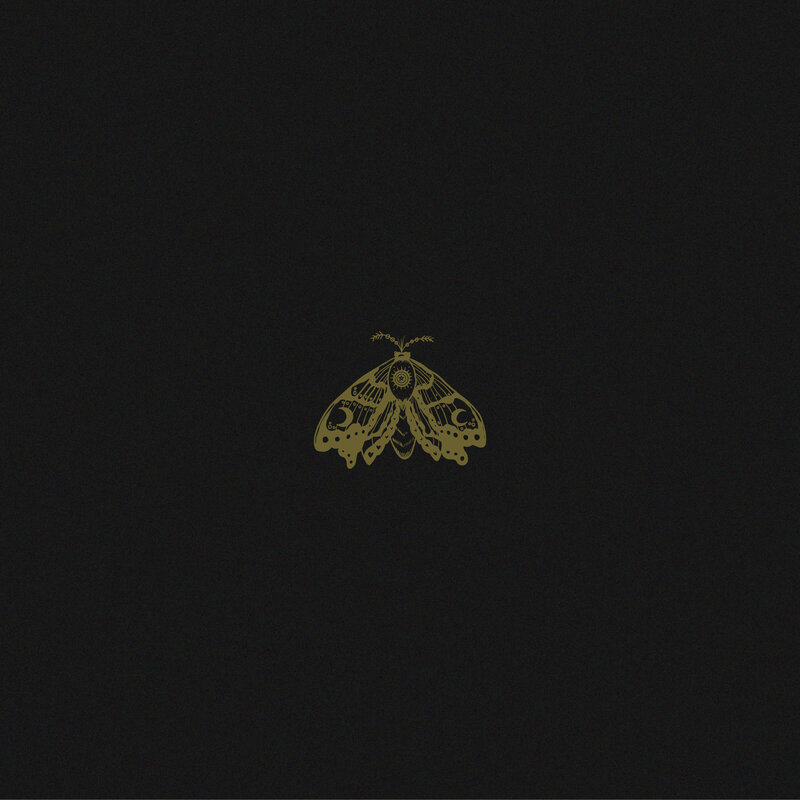 moth-106