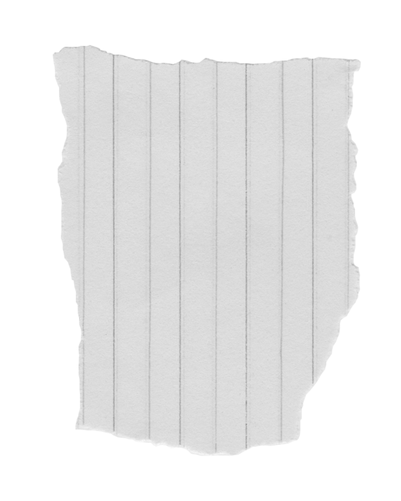 a piece of ripped lined paper