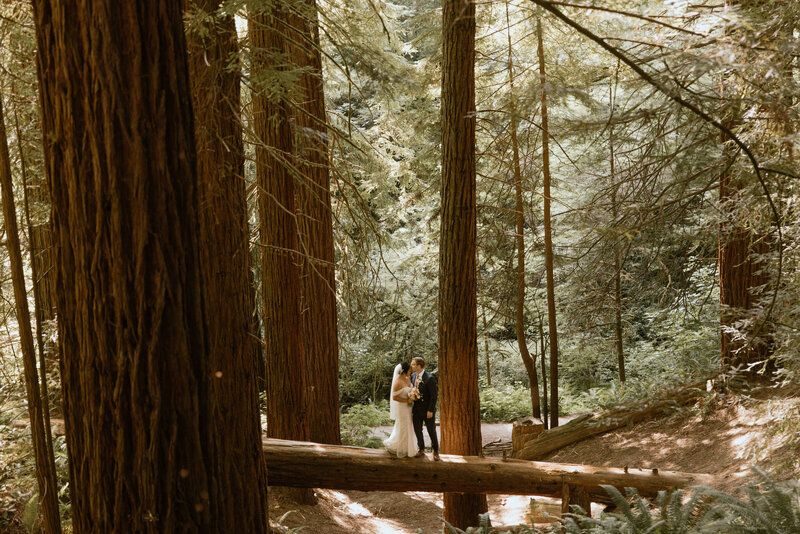 Hoyt-Arboretum-Micro-Wedding-3