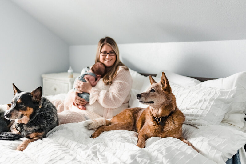 Lifestyle newborn photography with dogs