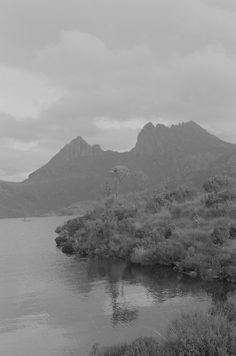 Cradle-Mountain-Elopement-Tasmania-3334