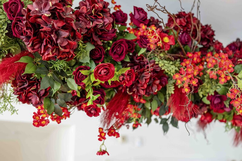 Vibrant red roses display