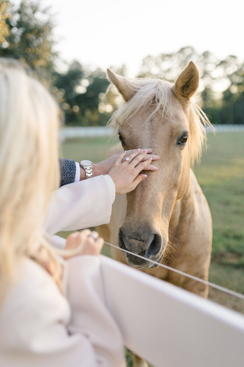 sarah_john_engagement-2