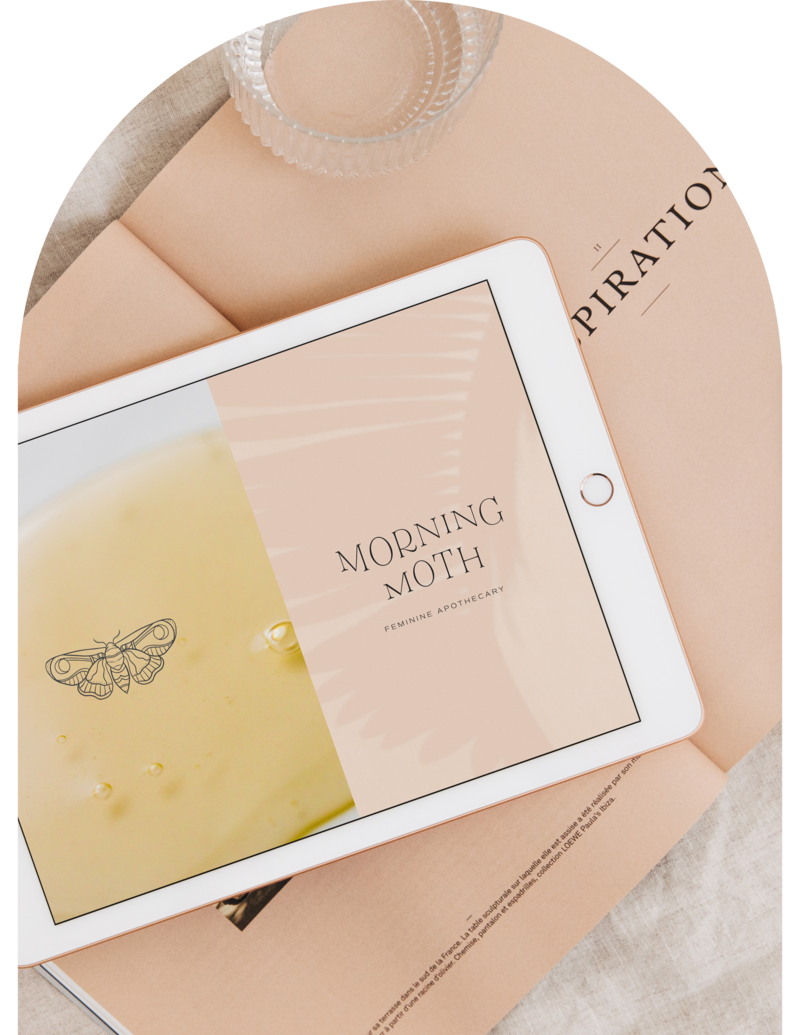 Emmygination_Hero_Featured-Work_Morning-Moth-iPad