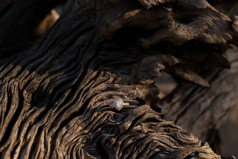 Savannah Georgia Engagement Photos-9019
