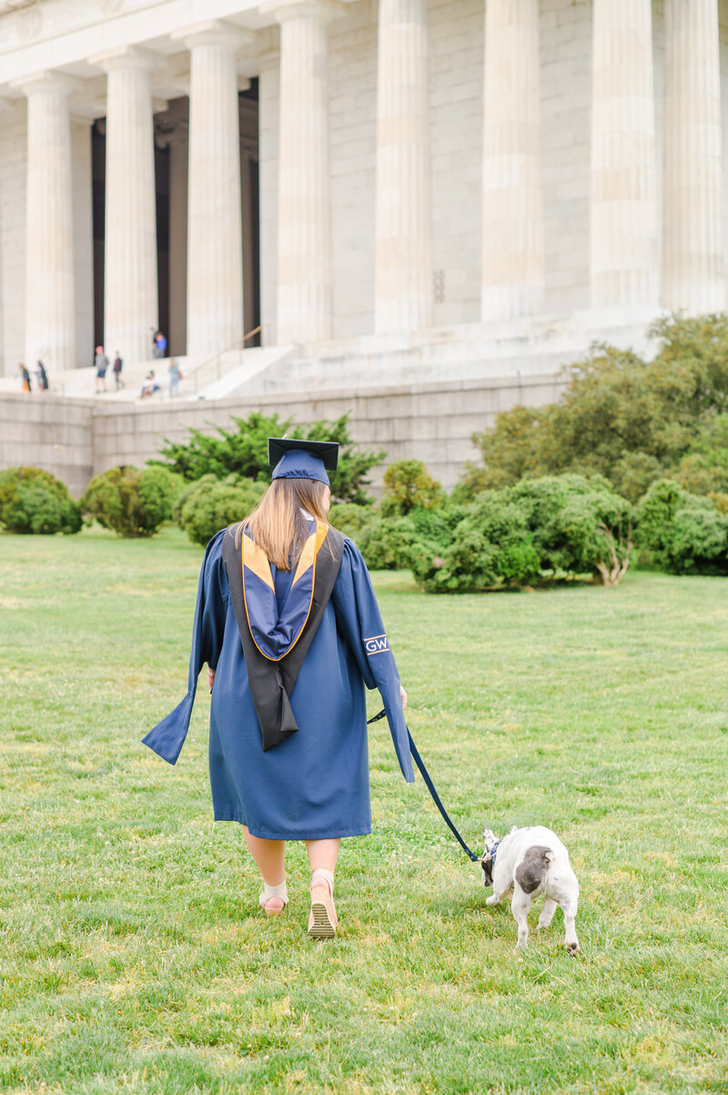 GW Grad walks with French bulldog on the lawn in front of the Lincoln Memorial during DC Grad Session