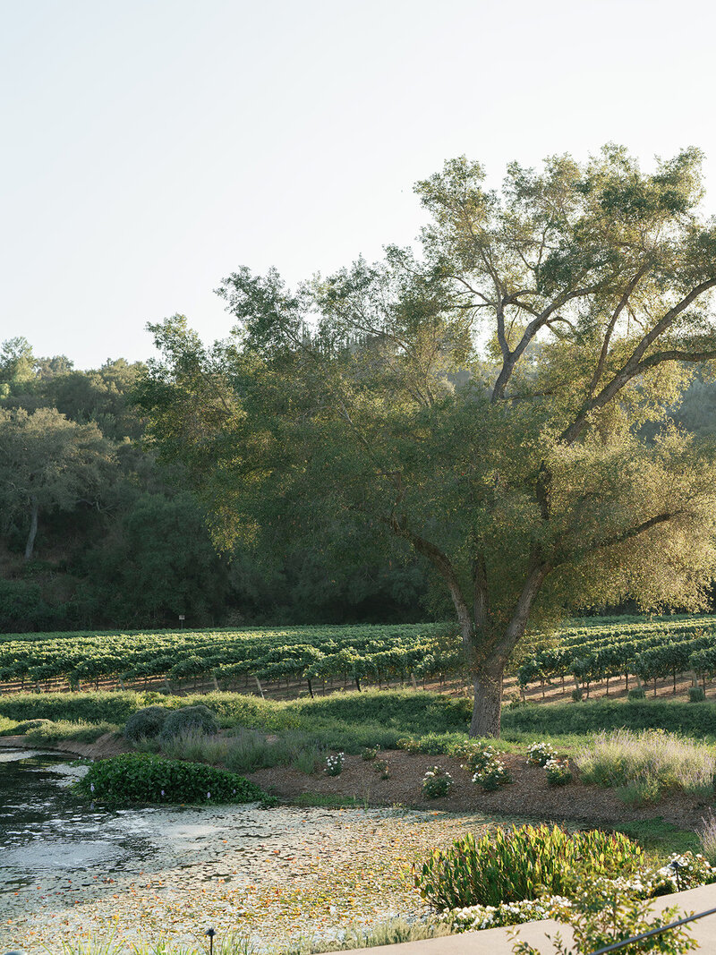 Bryce Gaston Events San Diego Wedding Planner San Diego Wedding Planner Wedding Planner San Diego Full-service wedding planning and design in Southern California5