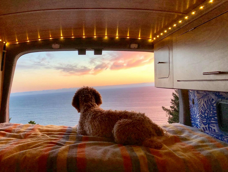 Image features the view from a camper van overlooking the ocean at sunset, with a dog on a blanket looking out. The wallpaper shown on the van wall is a custom design by Skye McNeill.