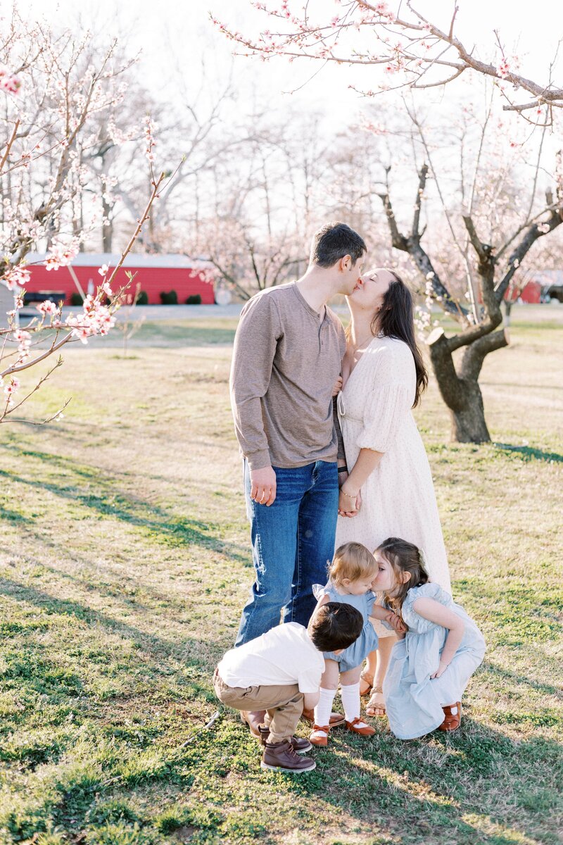mom and dad kissing while siblings kiss baby in peach orchard in peoria, illinois family photos 