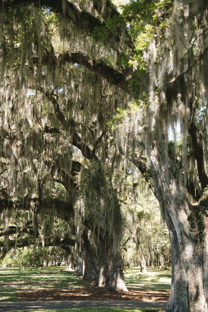 Morgan-and-Jack-Savannah-Hilton-Head-Golden-Isles-Florist-11