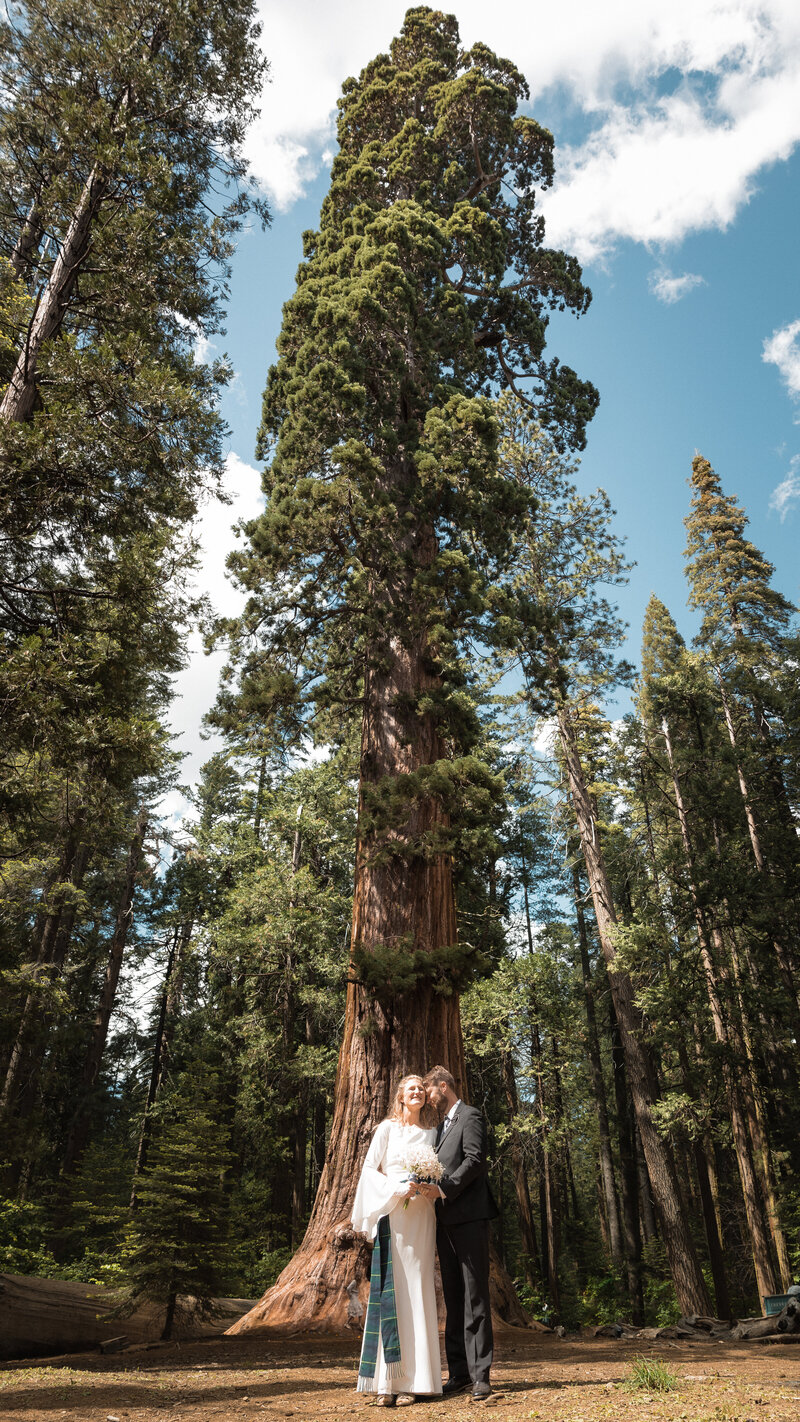 Holly + Jeremiah-murphys-wedding-calaveras county-big trees state park-big trees-adventure wedding-california-1459