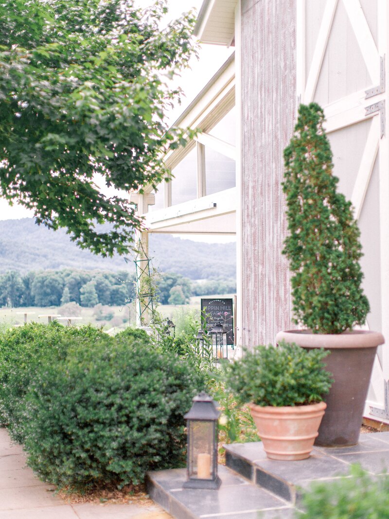 Pippin Hill Wedding Charlottesville Virginia Photographer_22