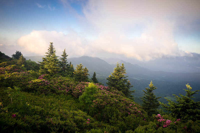 Spring mountain view in Asheville