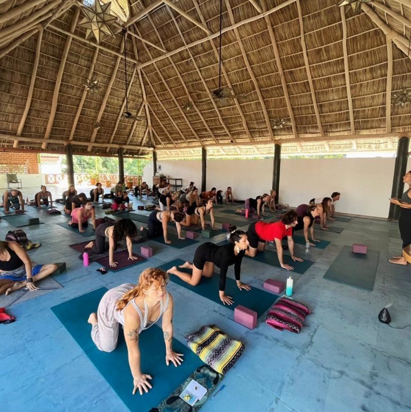 A beautiful open air concept, this  stunning  palapa covered shala is equipped with experienced yoga instructors offering a variety of yoga style classes.