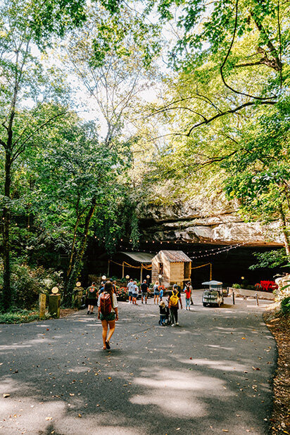 A group of people strolls down a wooded road, surrounded by the natural beauty of Kentucky's landscape.